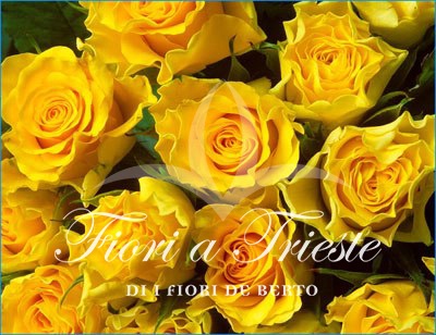 Foto Bouquets of Long-stemmed Yellow Roses