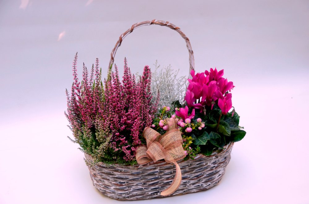 Foto Fuchsia Autumn Basket