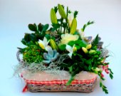 Basket of succulents and flowers