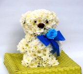 Teddy bear per nascita bimbi
