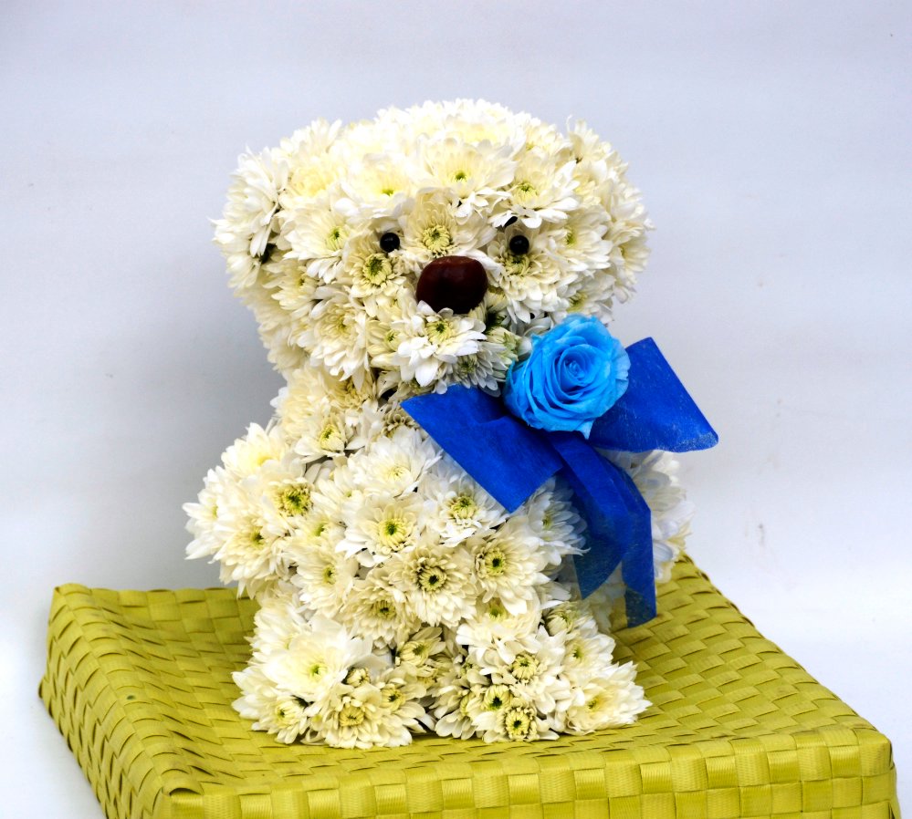 Teddy bear per nascita bimbi