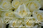 Bouquet of Long-stemmed White Roses