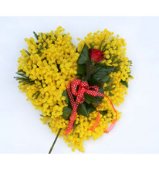Mimosa Heart