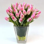 Vase of pink tulips