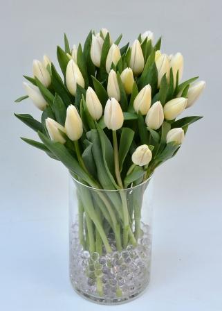 Tulipani bianchi
