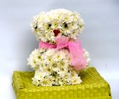 Teddy bear per nascita bimbe