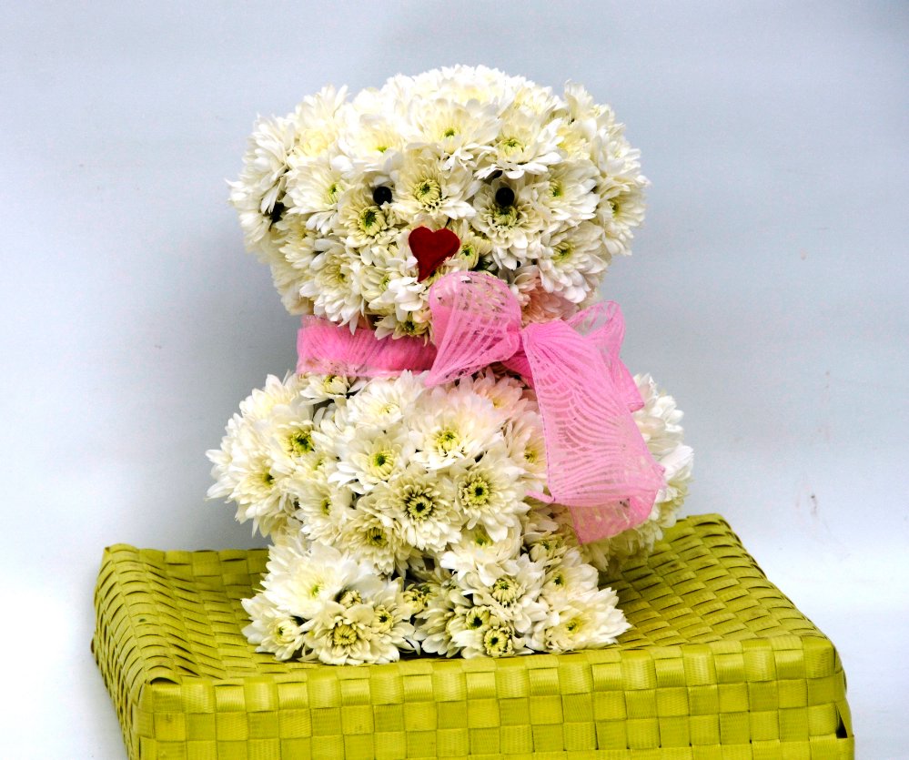 Teddy bear per nascita bimbe