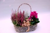 Fuchsia Autumn Basket