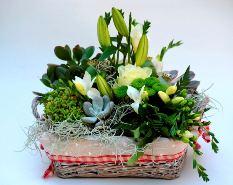 Cestino di succulente e fiori