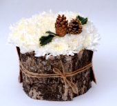 Panettone