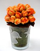 tulipani arancio.