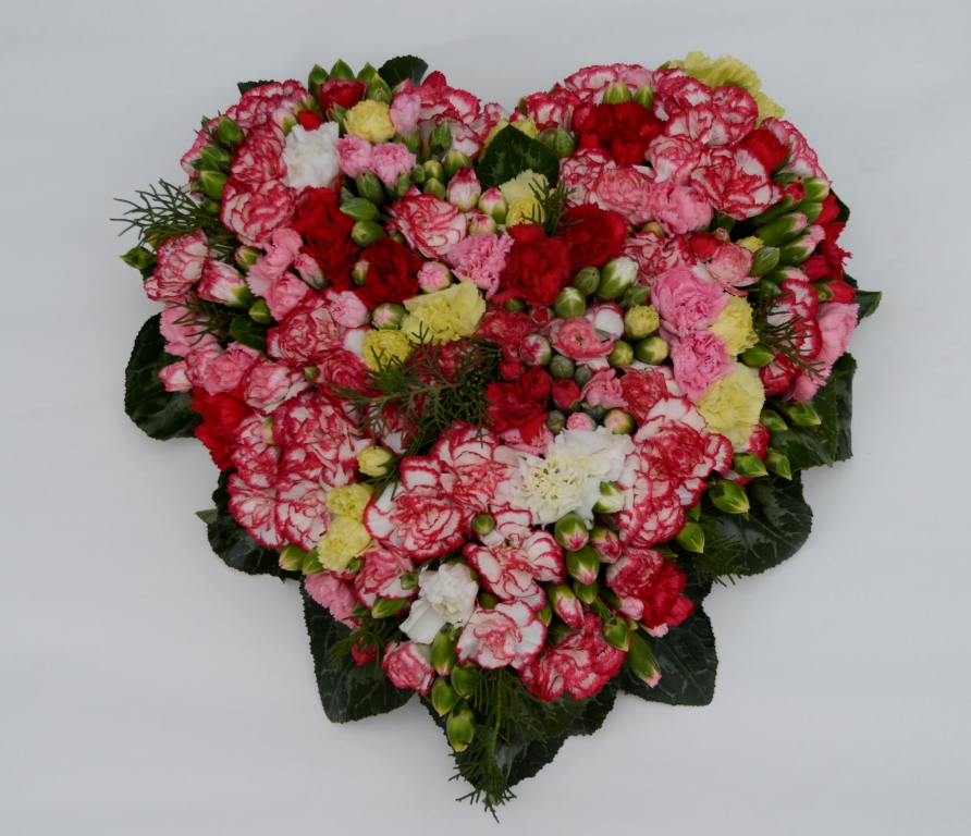 Foto Heart of carnations