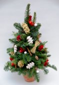 Albero di Natale