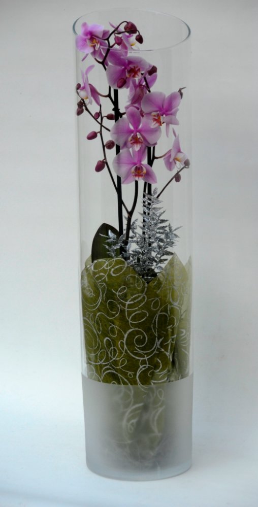 Vetro con orchidea h. 80 cm.