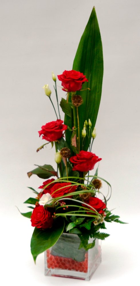 Red roses in glass cube.