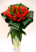 Tulipani rossi.