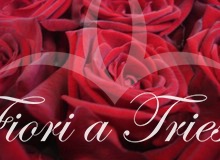 Mazzo di rose rosse a gambo lungo.