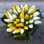 Bouquet 50 tulipani