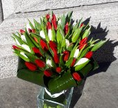 Bouquet 50 tulipani rossi e bianchi