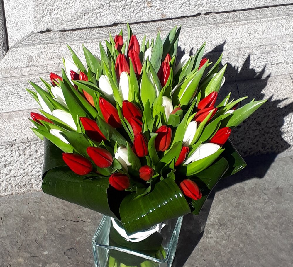 Foto Bouquet 50 tulipani rossi e bianchi