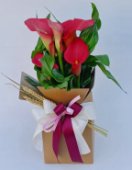 Calla in eco-box