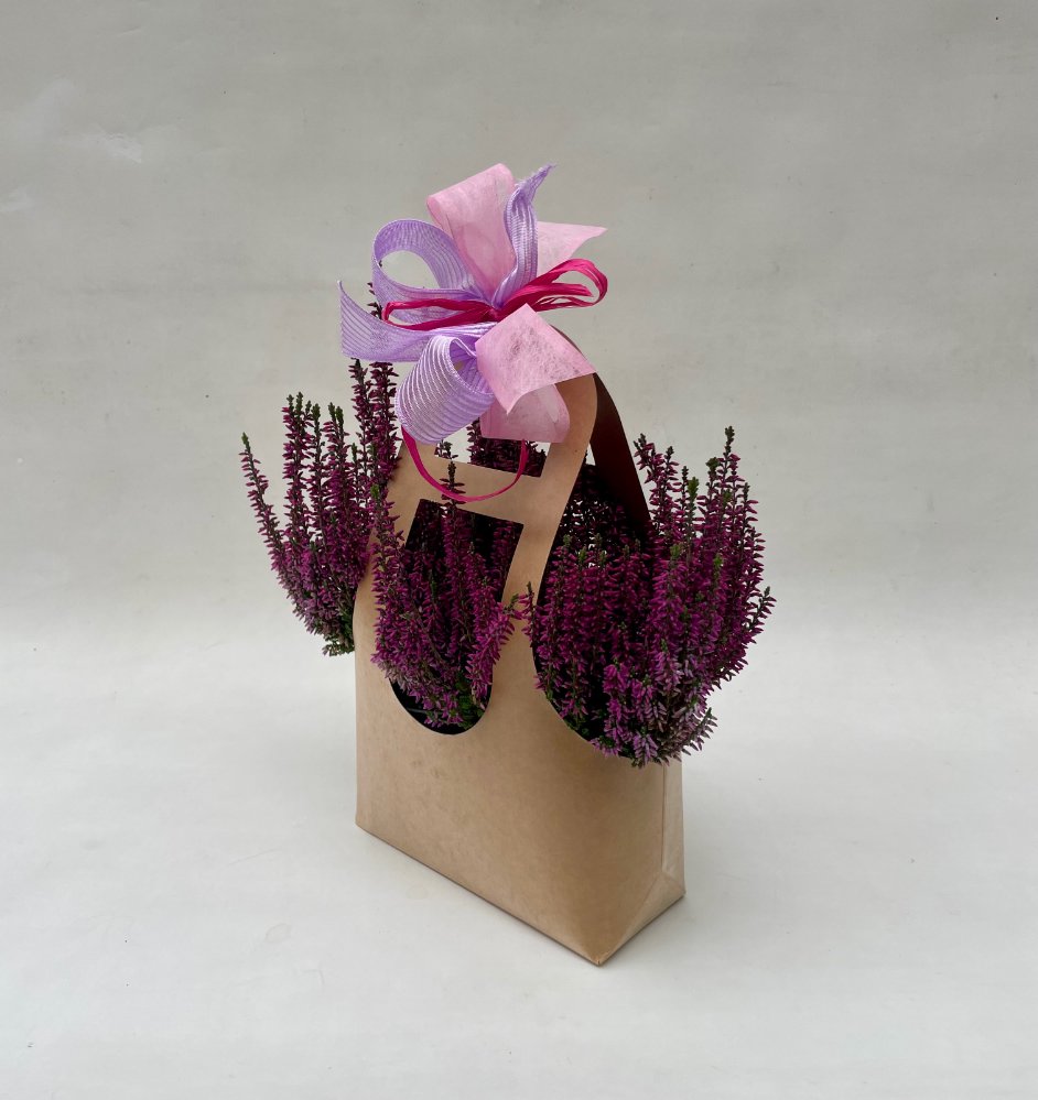 Foto Eriche con borsa