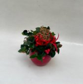 Gauteria con vaso rosso