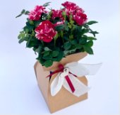 composizione di san valentino con eco-packaging