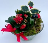 ciotola centrotavola con piante e fiori misti rossi