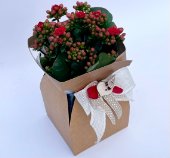 composizione di san valentino con eco-packaging